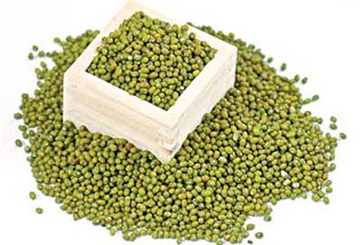 Một trong những nguyên liệu phổ biến để làm giá tại nhà là đậu xanh, sử dụng 1 dụng cụ để địng lượng hạt đậu cho mỗi lần làm giá