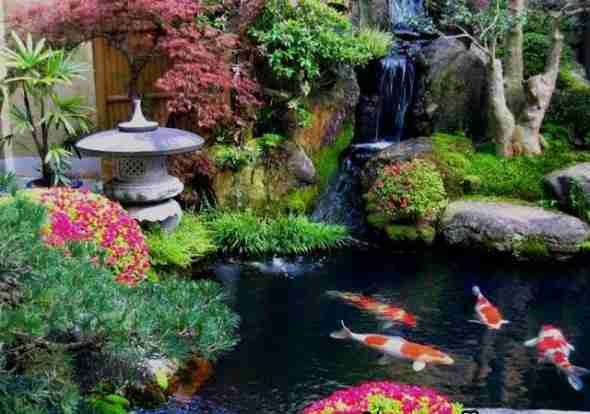 Góc sân vườn phong cách Nhật