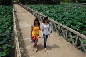 Hồ sen không chỉ là nơi dạo mát, ngắm cảnh của du khách...